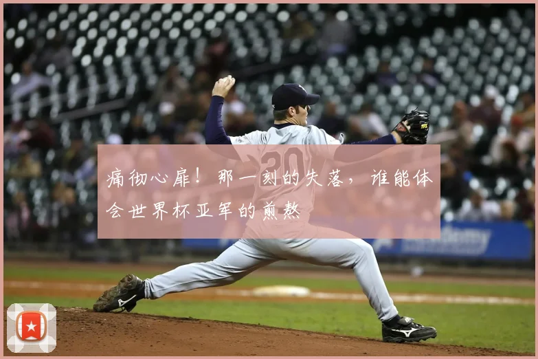 痛彻心扉！那一刻的失落，谁能体会世界杯亚军的煎熬