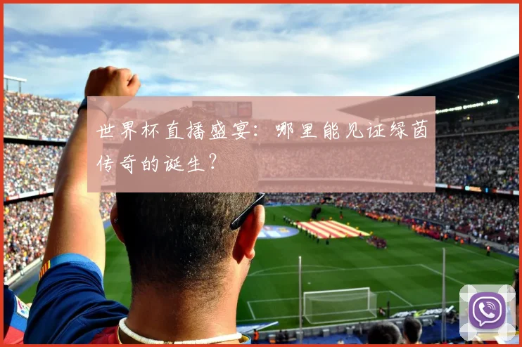 世界杯直播盛宴：哪里能见证绿茵传奇的诞生？